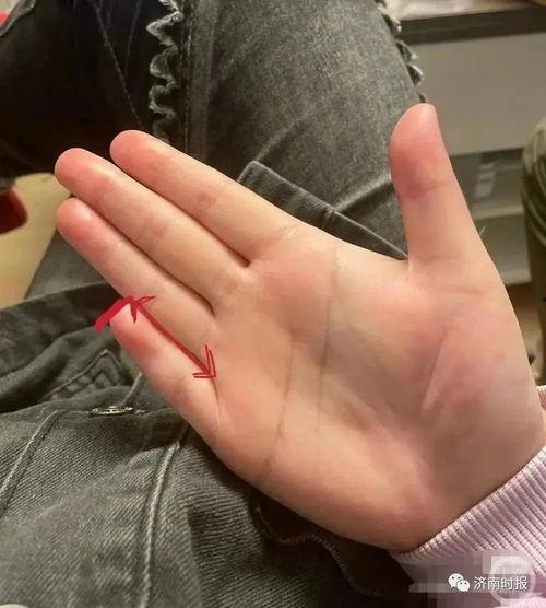 短指图片,探寻人类进化中的独特现象