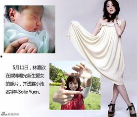 明星bb图,颜值与才华并存的魅力之星