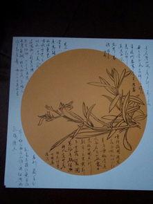 侯图片大全,捕捉生活瞬间，展现人间百态